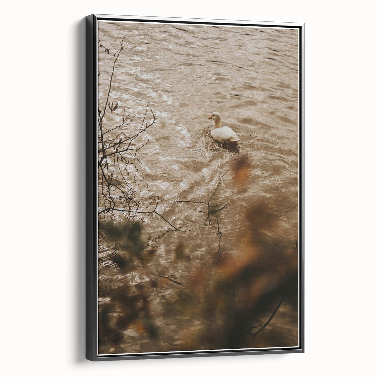 Rustic Wall Art of Duck on Water - Farmhouse Vintage Nature Scene