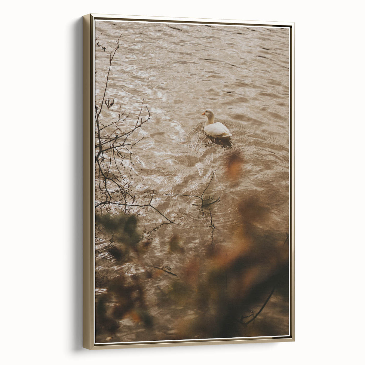 Rustic Wall Art of Duck on Water - Farmhouse Vintage Nature Scene