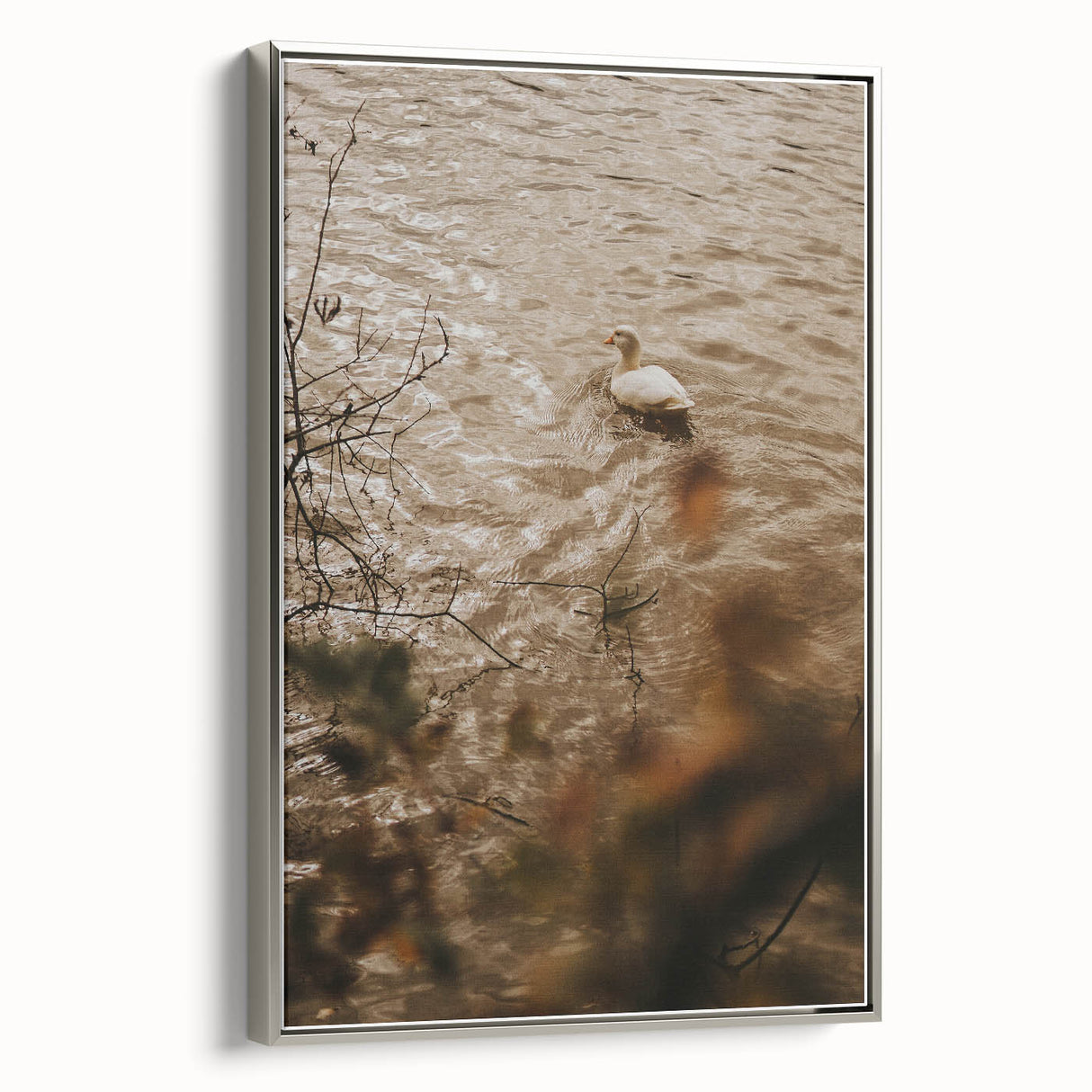 Rustic Wall Art of Duck on Water - Farmhouse Vintage Nature Scene