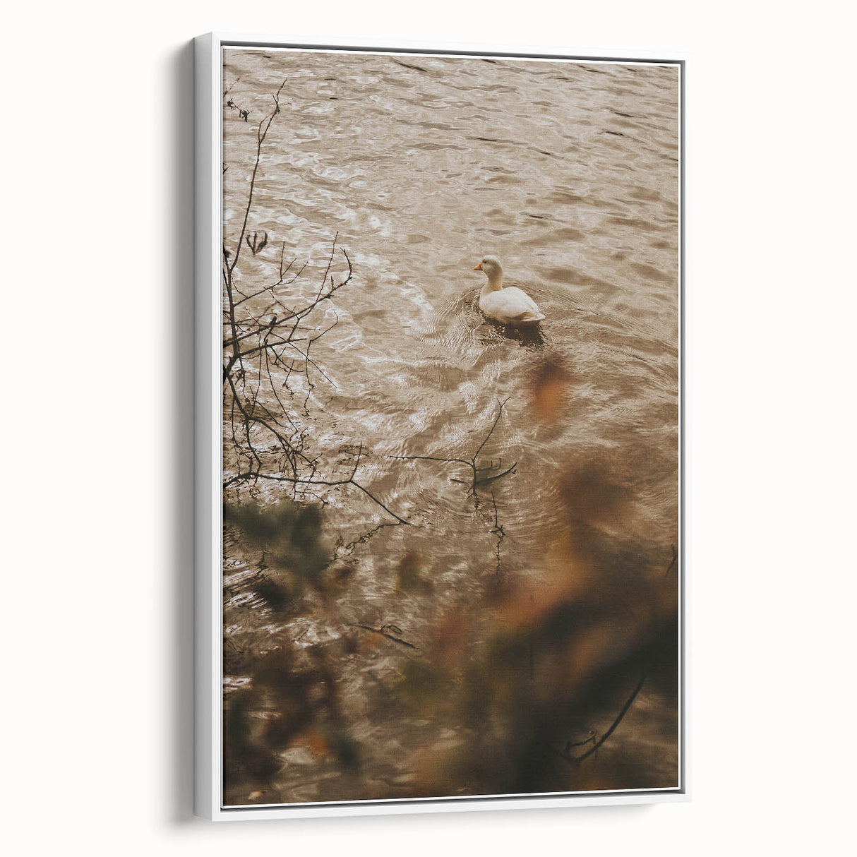 Rustic Wall Art of Duck on Water - Farmhouse Vintage Nature Scene