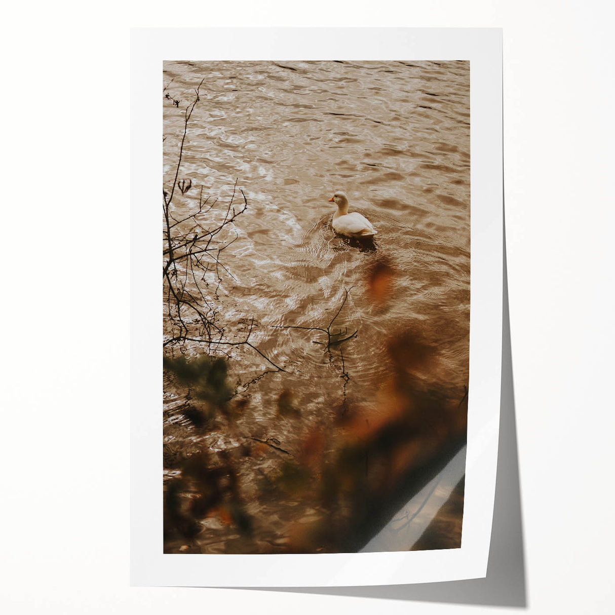 Rustic Wall Art of Duck on Water - Farmhouse Vintage Nature Scene