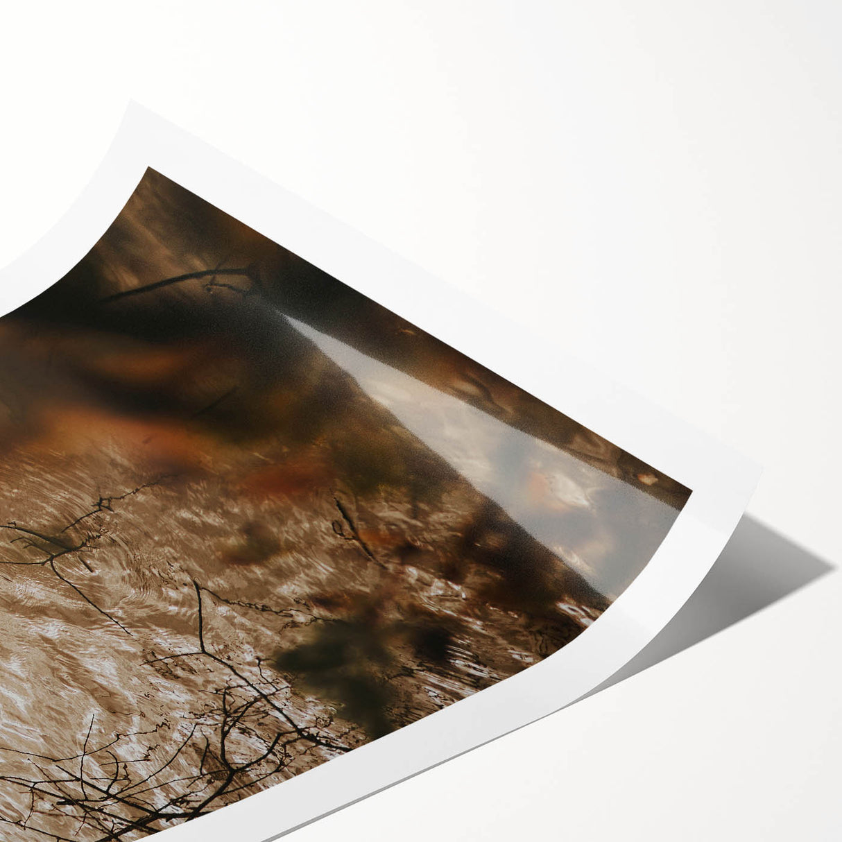 Rustic Wall Art of Duck on Water - Farmhouse Vintage Nature Scene