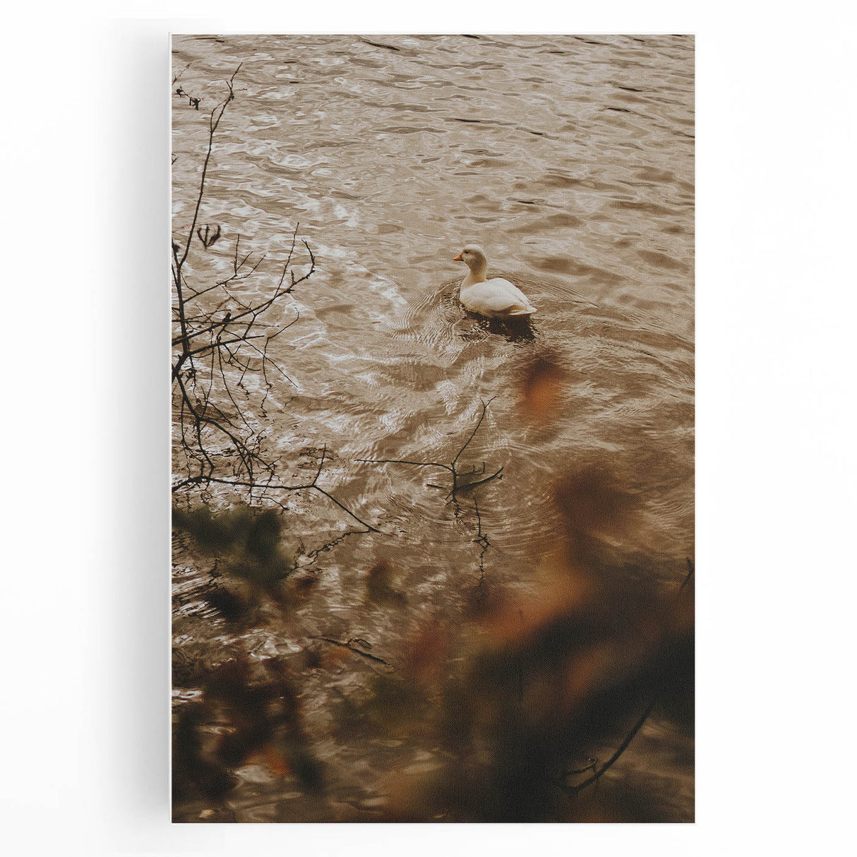 Rustic Wall Art of Duck on Water - Farmhouse Vintage Nature Scene