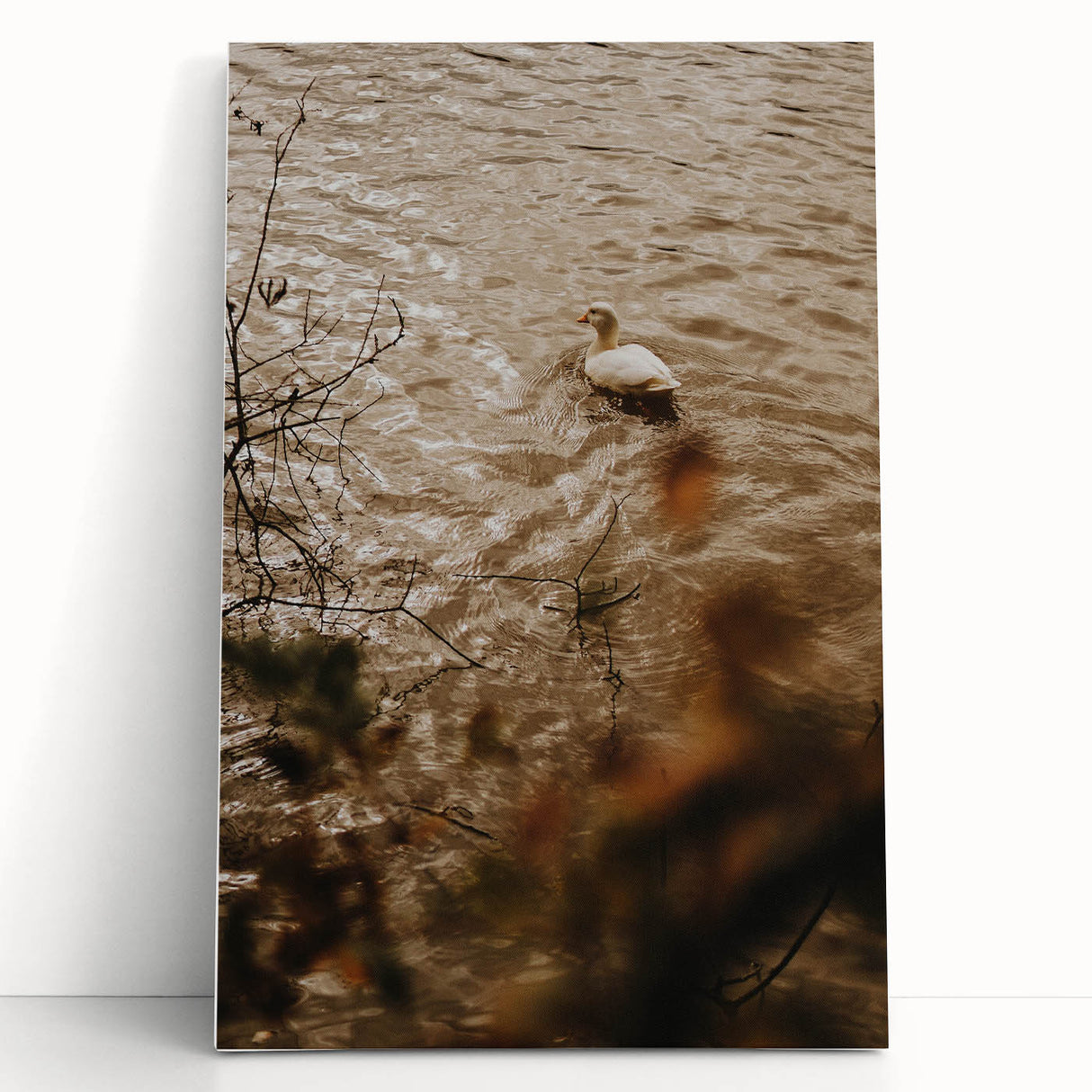 Rustic Wall Art of Duck on Water - Farmhouse Vintage Nature Scene
