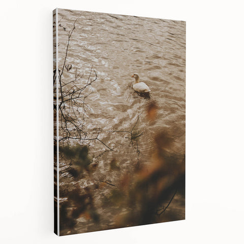 Rustic Wall Art of Duck on Water - Farmhouse Vintage Nature Scene