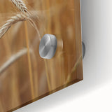 Golden Wheat Field - Rustic Farmhouse Wall Art Decor