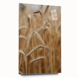 Golden Wheat Field - Rustic Farmhouse Wall Art Decor