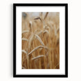 Golden Wheat Field - Rustic Farmhouse Wall Art Decor