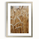 Golden Wheat Field - Rustic Farmhouse Wall Art Decor