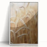 Golden Wheat Field - Rustic Farmhouse Wall Art Decor
