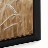 Golden Wheat Field - Rustic Farmhouse Wall Art Decor