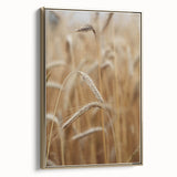 Golden Wheat Field - Rustic Farmhouse Wall Art Decor