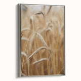 Golden Wheat Field - Rustic Farmhouse Wall Art Decor
