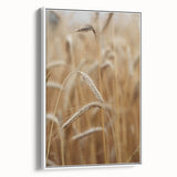 Golden Wheat Field - Rustic Farmhouse Wall Art Decor