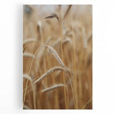 Golden Wheat Field - Rustic Farmhouse Wall Art Decor