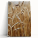 Golden Wheat Field - Rustic Farmhouse Wall Art Decor