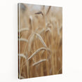 Golden Wheat Field - Rustic Farmhouse Wall Art Decor