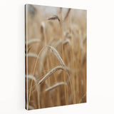 Golden Wheat Field - Rustic Farmhouse Wall Art Decor