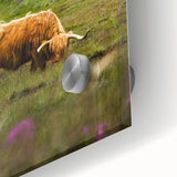 Rustic Wall Art - Highland Cow in Misty Pasture, Farmhouse Decor Print