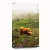 Rustic Wall Art - Highland Cow in Misty Pasture, Farmhouse Decor Print