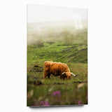 Rustic Wall Art - Highland Cow in Misty Pasture, Farmhouse Decor Print