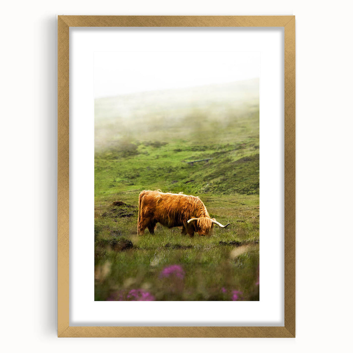 Rustic Wall Art - Highland Cow in Misty Pasture, Farmhouse Decor Print