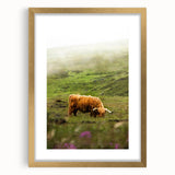 Rustic Wall Art - Highland Cow in Misty Pasture, Farmhouse Decor Print