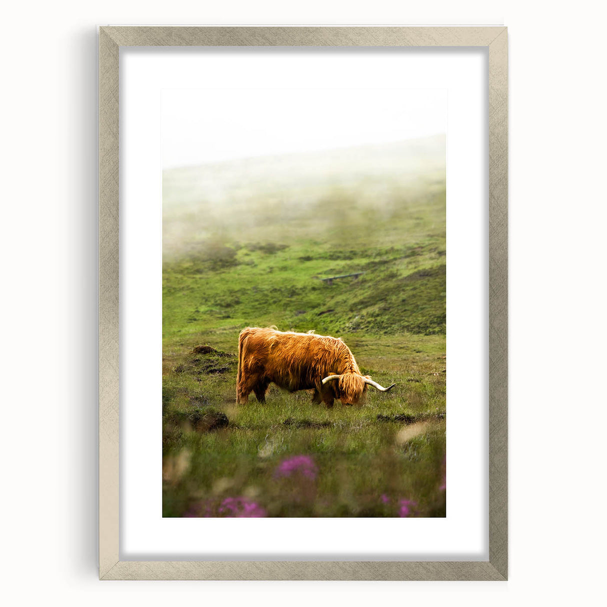 Rustic Wall Art - Highland Cow in Misty Pasture, Farmhouse Decor Print