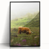 Rustic Wall Art - Highland Cow in Misty Pasture, Farmhouse Decor Print