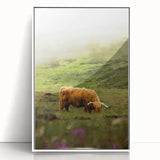 Rustic Wall Art - Highland Cow in Misty Pasture, Farmhouse Decor Print