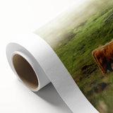 Rustic Wall Art - Highland Cow in Misty Pasture, Farmhouse Decor Print