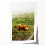 Rustic Wall Art - Highland Cow in Misty Pasture, Farmhouse Decor Print