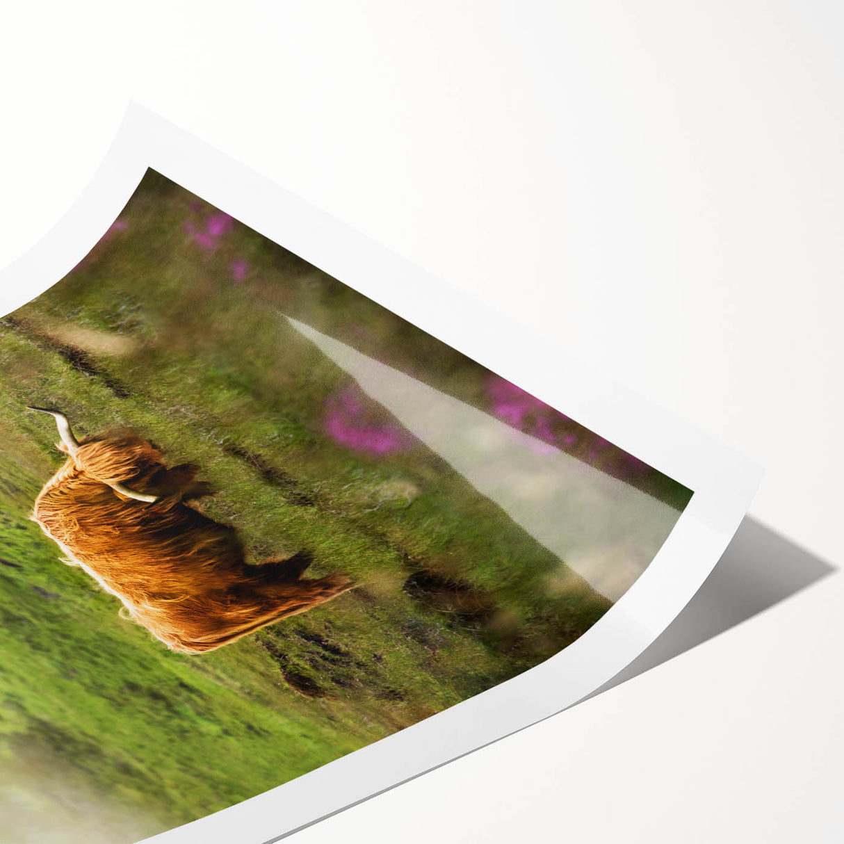 Rustic Wall Art - Highland Cow in Misty Pasture, Farmhouse Decor Print