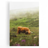 Rustic Wall Art - Highland Cow in Misty Pasture, Farmhouse Decor Print