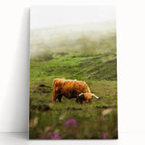 Rustic Wall Art - Highland Cow in Misty Pasture, Farmhouse Decor Print