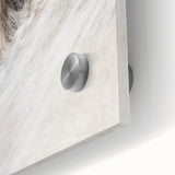 Rustic Wall Art - Close-Up Horse Ear Detail, Farmhouse Decor Print