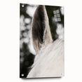 Rustic Wall Art - Close-Up Horse Ear Detail, Farmhouse Decor Print