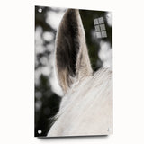 Rustic Wall Art - Close-Up Horse Ear Detail, Farmhouse Decor Print