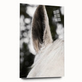 Rustic Wall Art - Close-Up Horse Ear Detail, Farmhouse Decor Print