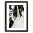 Rustic Wall Art - Close-Up Horse Ear Detail, Farmhouse Decor Print
