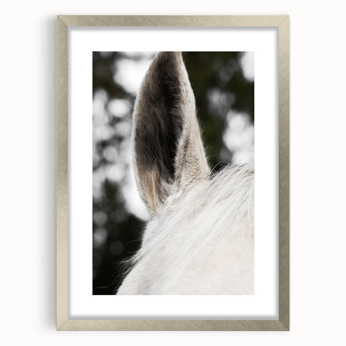Rustic Wall Art - Close-Up Horse Ear Detail, Farmhouse Decor Print
