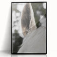 Rustic Wall Art - Close-Up Horse Ear Detail, Farmhouse Decor Print