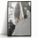 Rustic Wall Art - Close-Up Horse Ear Detail, Farmhouse Decor Print