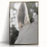 Rustic Wall Art - Close-Up Horse Ear Detail, Farmhouse Decor Print
