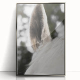Rustic Wall Art - Close-Up Horse Ear Detail, Farmhouse Decor Print