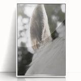 Rustic Wall Art - Close-Up Horse Ear Detail, Farmhouse Decor Print