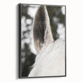 Rustic Wall Art - Close-Up Horse Ear Detail, Farmhouse Decor Print