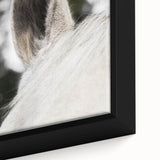 Rustic Wall Art - Close-Up Horse Ear Detail, Farmhouse Decor Print