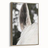 Rustic Wall Art - Close-Up Horse Ear Detail, Farmhouse Decor Print