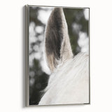 Rustic Wall Art - Close-Up Horse Ear Detail, Farmhouse Decor Print